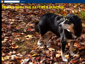thebayfieldbunch.com