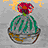 cactus.cz