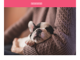 'dogparty.net' screenshot