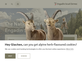 'engadin.com' screenshot