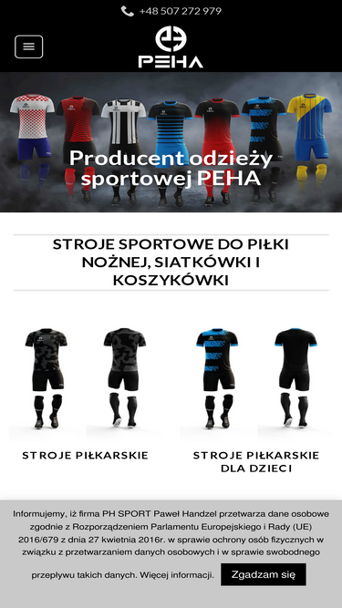 pehasports.com