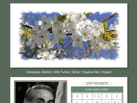 'siirparki.com' screenshot