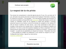 'gulli.fr' screenshot