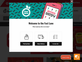 'shopthefastlane.com' screenshot