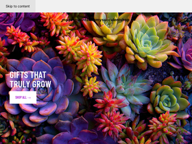 mysucculentshop.com homepage screenshot