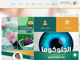 'theeyeconsultants.net' screenshot