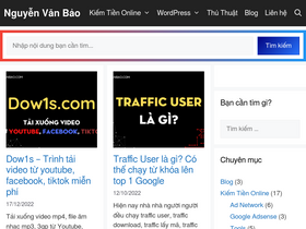 'nguyenvanbao.com' screenshot