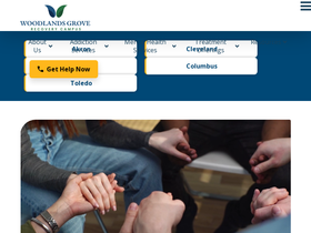 'recoveryohio.org' screenshot