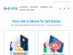 pingmarketingteam.com homepage screenshot