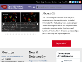 'yeastgenome.org' screenshot
