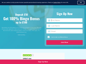 'rosybingo.com' screenshot