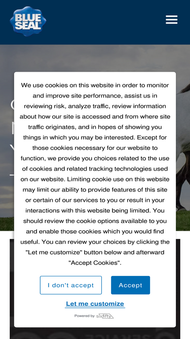blueseal.com