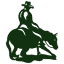 ncha.com.au