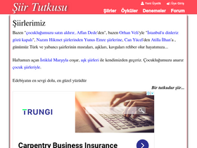 siirtutkusu.com