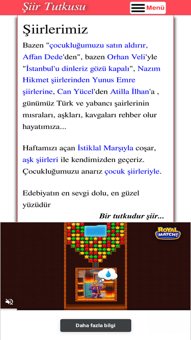 siirtutkusu.com