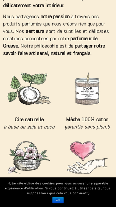 cyor.fr