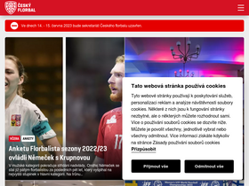 'ceskyflorbal.cz' screenshot
