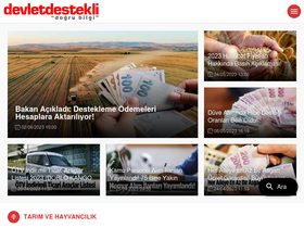 'devletdestekli.com' screenshot