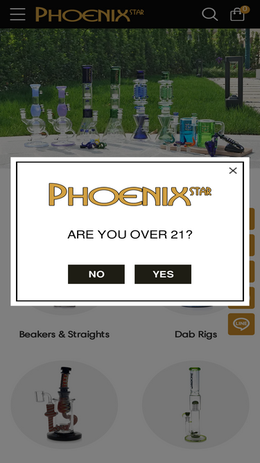 phoenixstarglass.com