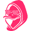 Webdecoy