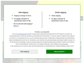 'newsbreak.dk' screenshot