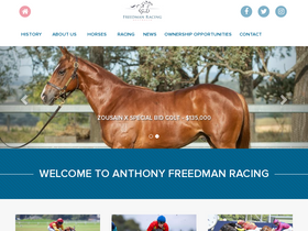 'freedman.com.au' screenshot