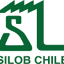 silobchile.cl