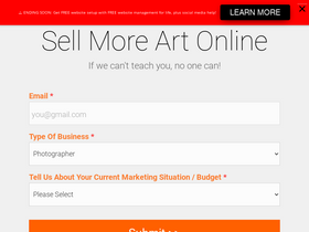 'artstorefronts.com' screenshot
