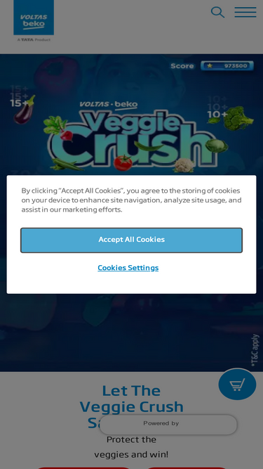 voltasbeko.com