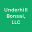underhillbonsaistore.com