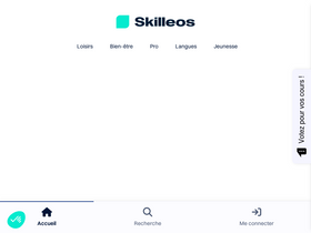 'skilleos.com' screenshot