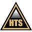 hts-seguridad.com.ar