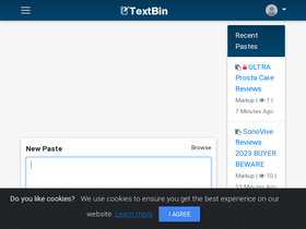 'textbin.net' screenshot
