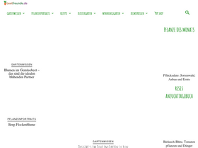 'beetfreunde.de' screenshot