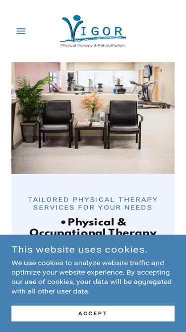 vigorphysicaltherapy.com