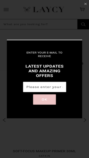 laycy.com