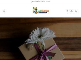 lupiexpress.com homepage screenshot
