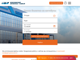 'nskavtovokzal.ru' screenshot