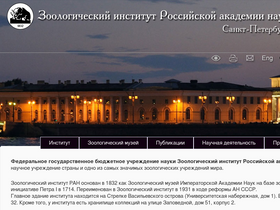 'zin.ru' screenshot