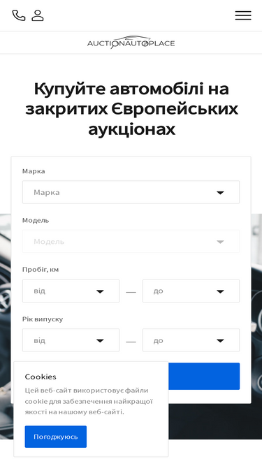 auctionautoplace.com