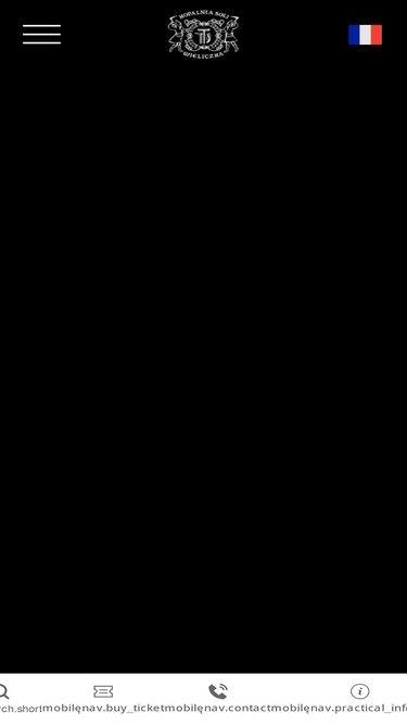 minedeselwieliczka.fr