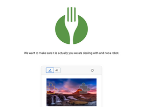 'thefork.nl' screenshot