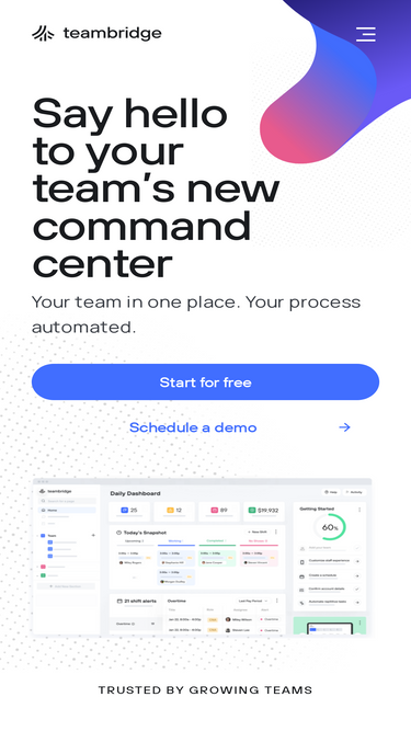 teambridge.com