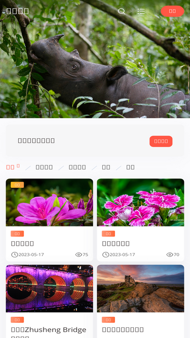 todaybing.com