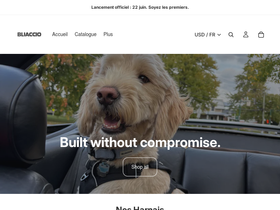 bliaccio.com homepage screenshot