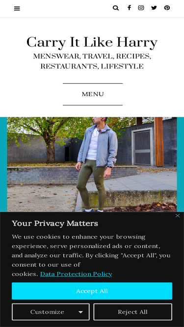 carryitlikeharry.com