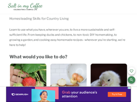 'saltinmycoffee.com' screenshot