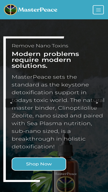 masterpeacebyhcs.com