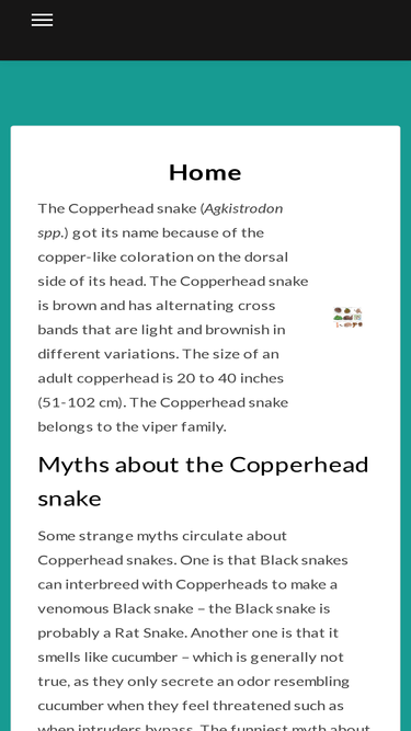copperheadsnake.net