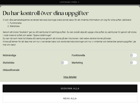 'zizzi.se' screenshot